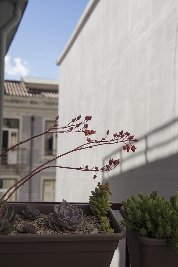 Lisbon Poets Inn Exterior photo